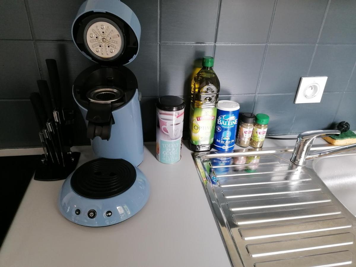 Petit Studio Hypercentre D'Orleans Avec Jardin エクステリア 写真