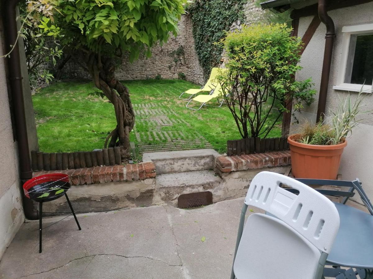 Petit Studio Hypercentre D'Orleans Avec Jardin エクステリア 写真